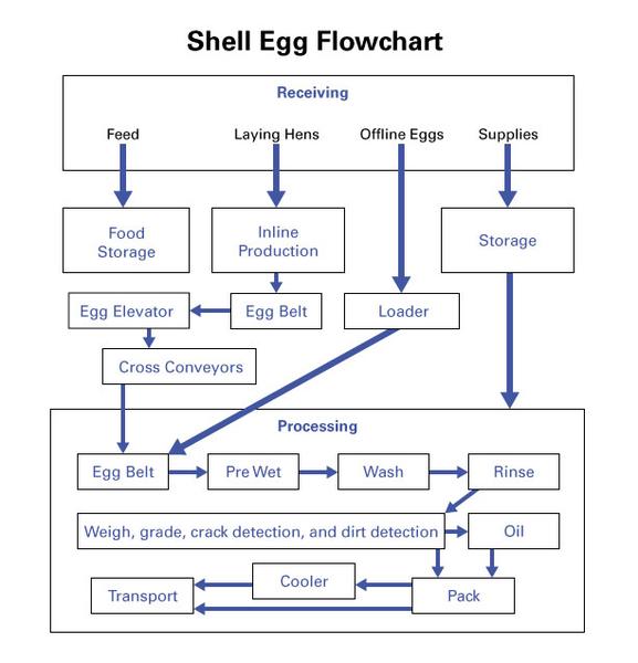 Thumbnail image for Designing a Hazard Analysis and Critical Control Point (HACCP) Plan for Shell Eggs