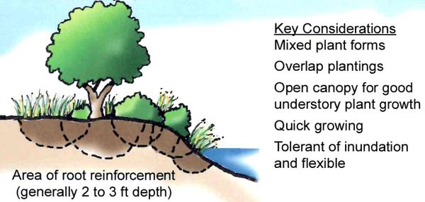 Thumbnail image for Options for Backyard Stream Repair