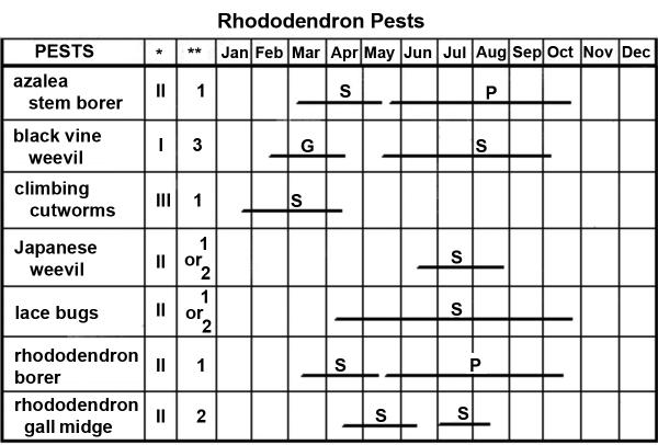Thumbnail image for Rhododendron Pest Management Calendar