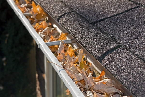 Thumbnail image for Moisture Control and Prevention: Gutter Management