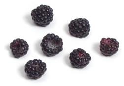Thumbnail image for Blackberries for the Home Garden