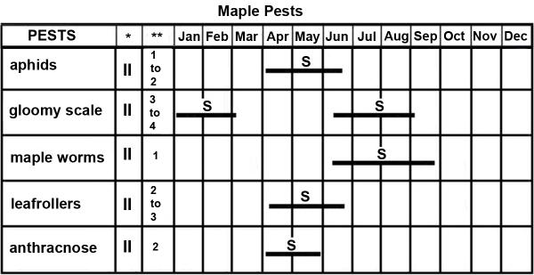 Thumbnail image for Maple Pest Management Calendar